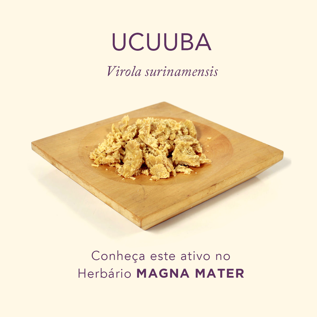 Ucuuba